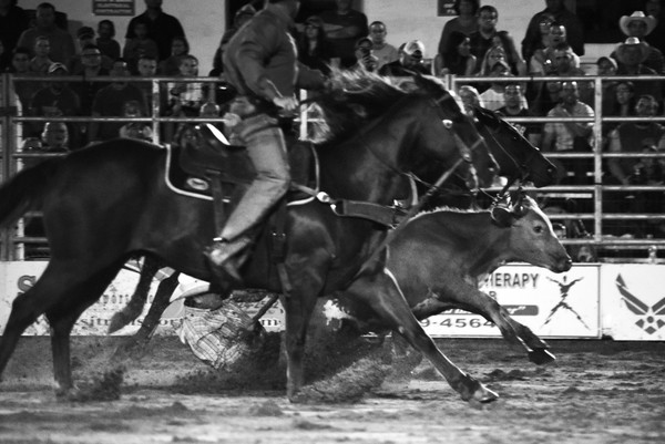 2018 09 15 cowtown rodeo nyu79